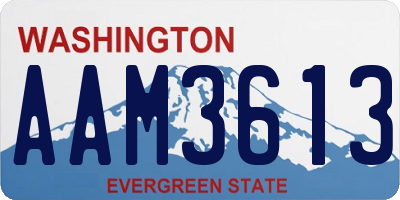 WA license plate AAM3613