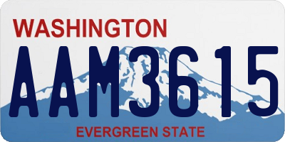 WA license plate AAM3615