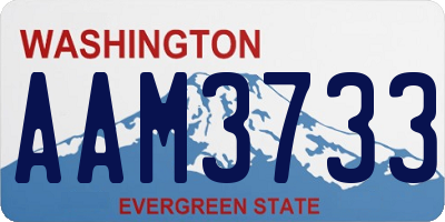WA license plate AAM3733