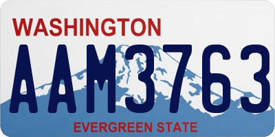 WA license plate AAM3763