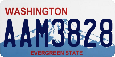 WA license plate AAM3828