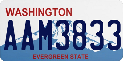 WA license plate AAM3833