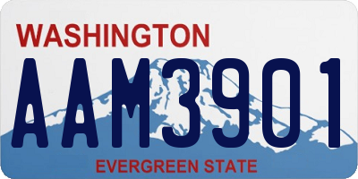 WA license plate AAM3901