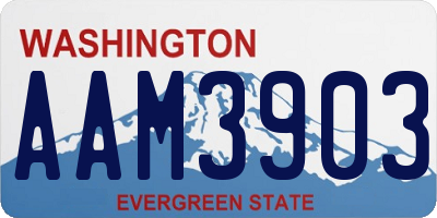 WA license plate AAM3903