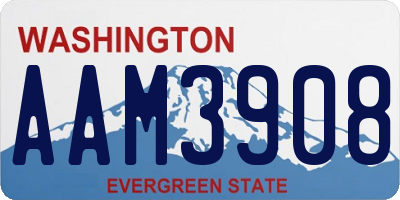 WA license plate AAM3908