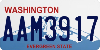 WA license plate AAM3917
