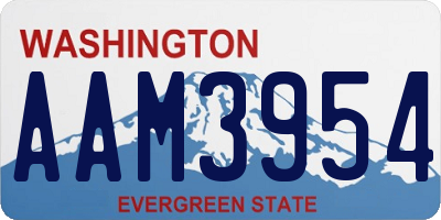 WA license plate AAM3954