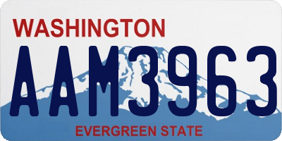 WA license plate AAM3963