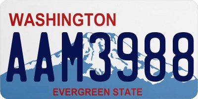 WA license plate AAM3988