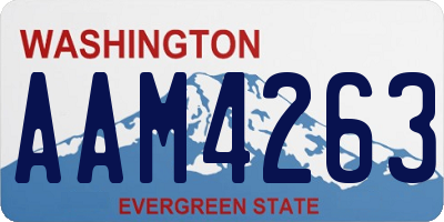 WA license plate AAM4263