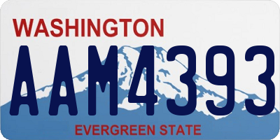 WA license plate AAM4393