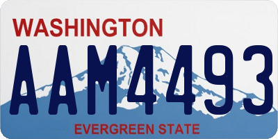 WA license plate AAM4493
