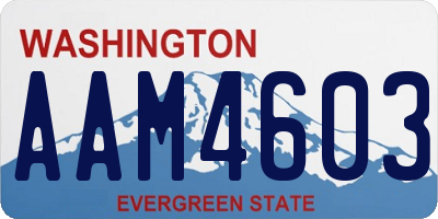 WA license plate AAM4603