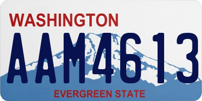 WA license plate AAM4613