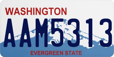 WA license plate AAM5313