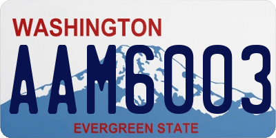 WA license plate AAM6003