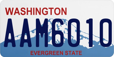 WA license plate AAM6010