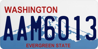 WA license plate AAM6013