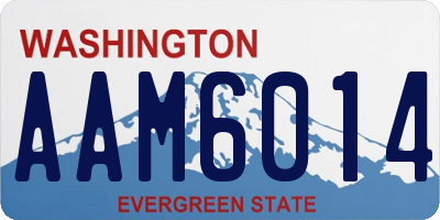 WA license plate AAM6014
