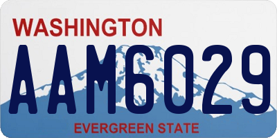 WA license plate AAM6029