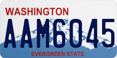 WA license plate AAM6045