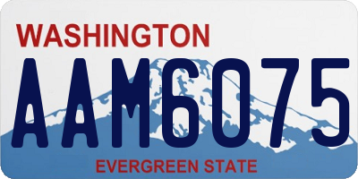 WA license plate AAM6075