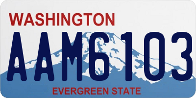 WA license plate AAM6103