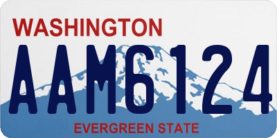 WA license plate AAM6124