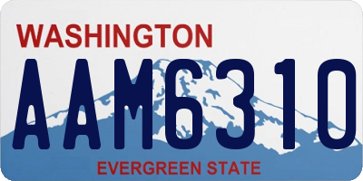 WA license plate AAM6310