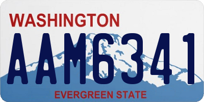 WA license plate AAM6341