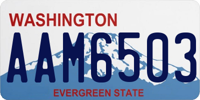 WA license plate AAM6503