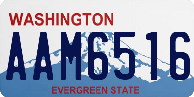 WA license plate AAM6516