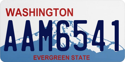 WA license plate AAM6541