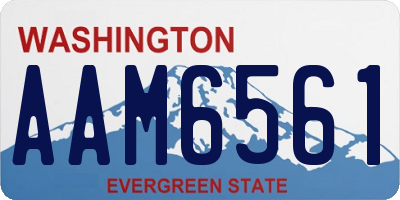 WA license plate AAM6561
