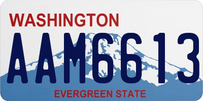 WA license plate AAM6613