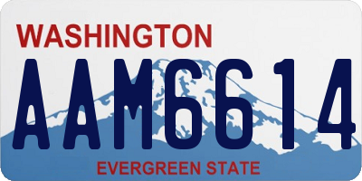 WA license plate AAM6614