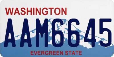 WA license plate AAM6645