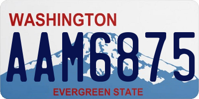 WA license plate AAM6875