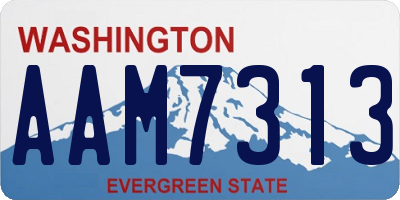 WA license plate AAM7313