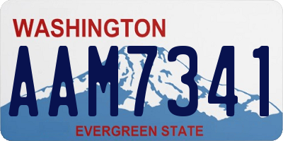 WA license plate AAM7341