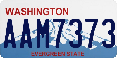 WA license plate AAM7373