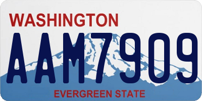 WA license plate AAM7909