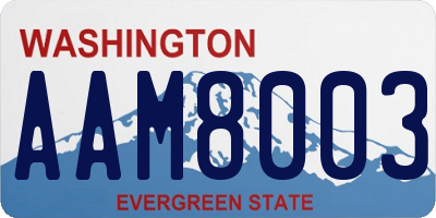 WA license plate AAM8003
