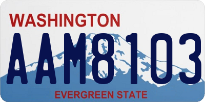 WA license plate AAM8103