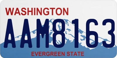WA license plate AAM8163