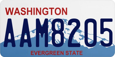 WA license plate AAM8205