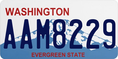 WA license plate AAM8229