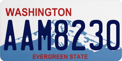 WA license plate AAM8230