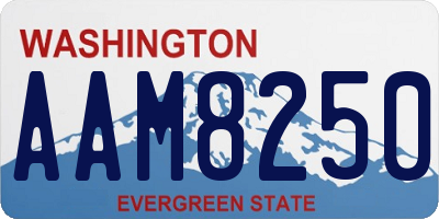 WA license plate AAM8250