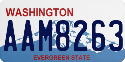 WA license plate AAM8263